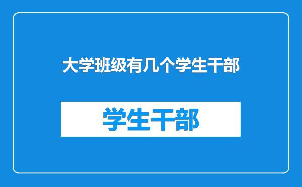 大学班级有几个学生干部