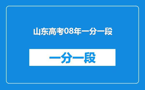 山东高考08年一分一段