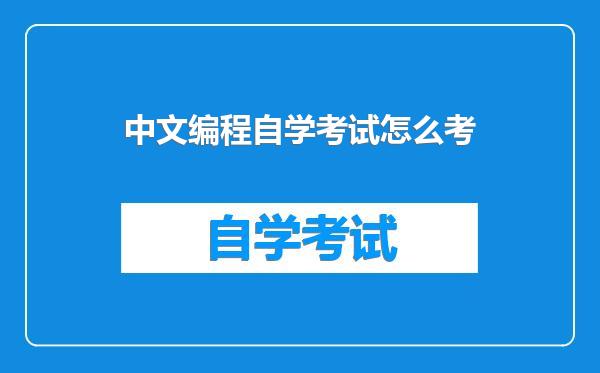 中文编程自学考试怎么考