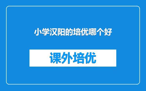 小学汉阳的培优哪个好