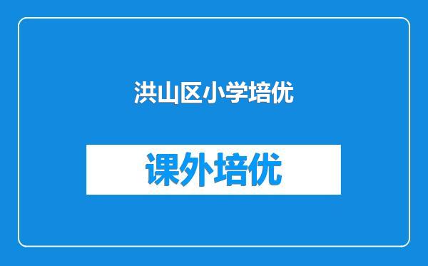洪山区小学培优