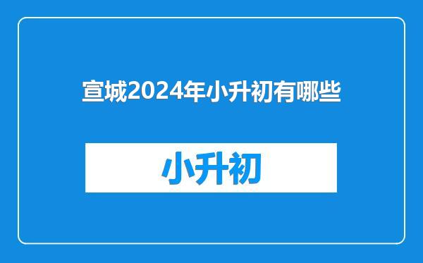 宣城2024年小升初有哪些