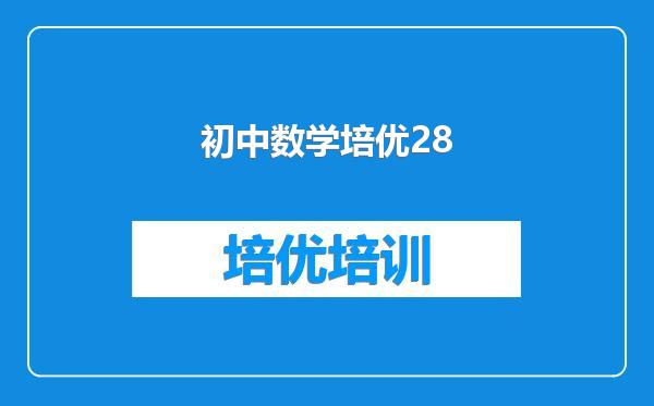 初中数学培优28