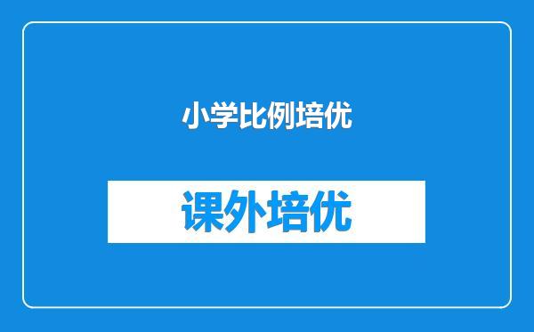小学比例培优