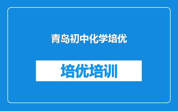 青岛初中化学培优