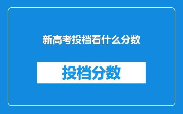 新高考投档看什么分数
