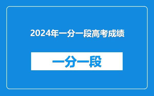 2024年一分一段高考成绩
