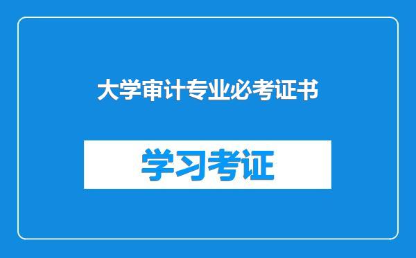 大学审计专业必考证书