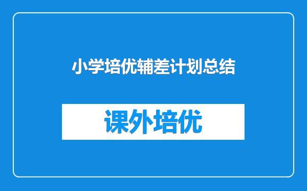 小学培优辅差计划总结