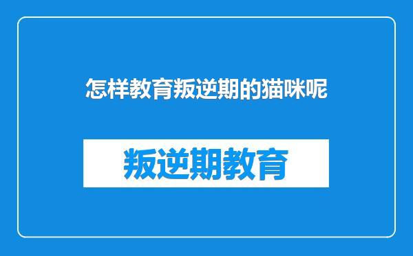 怎样教育叛逆期的猫咪呢
