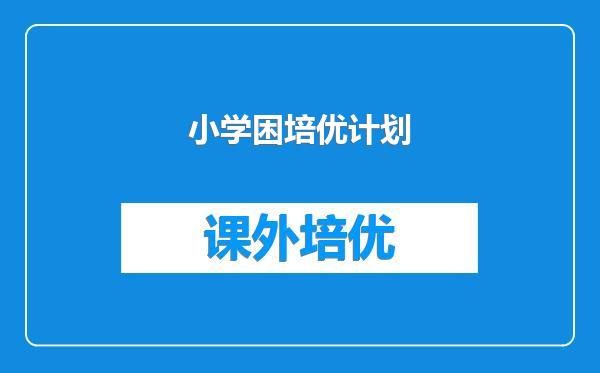 小学困培优计划