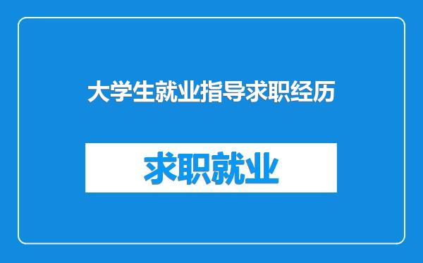 大学生就业指导求职经历