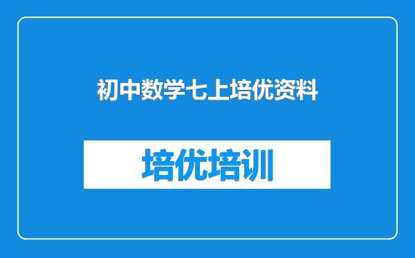初中数学七上培优资料