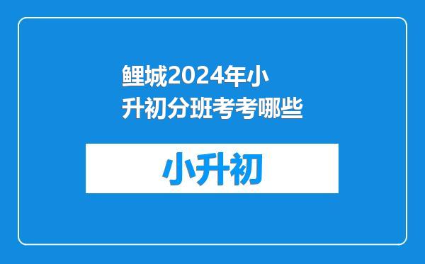 鲤城2024年小升初分班考考哪些