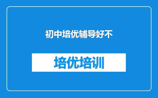 初中培优辅导好不