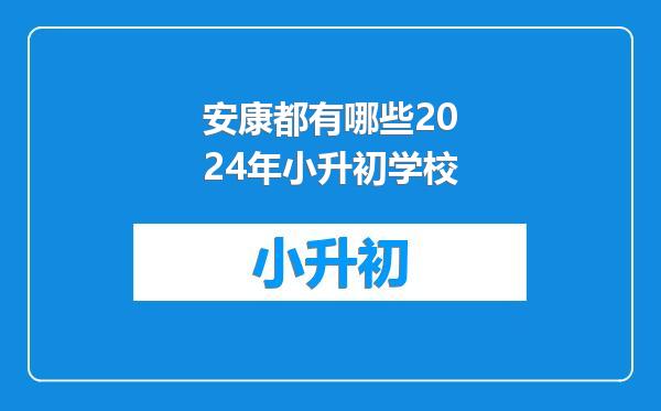 安康都有哪些2024年小升初学校