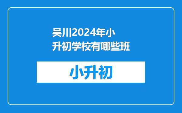 吴川2024年小升初学校有哪些班
