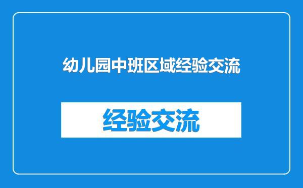 幼儿园中班区域经验交流