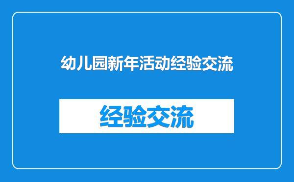 幼儿园新年活动经验交流