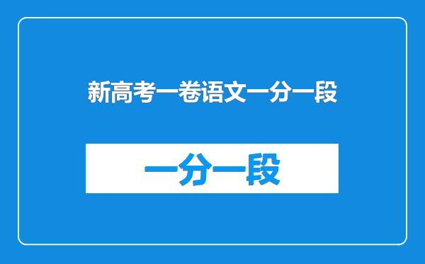 新高考一卷语文一分一段