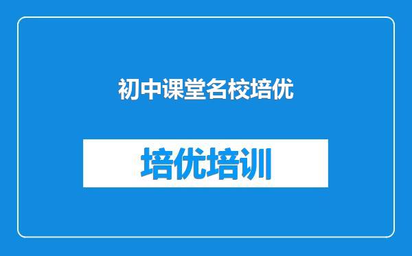 初中课堂名校培优