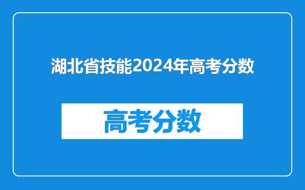 湖北省技能2024年高考分数