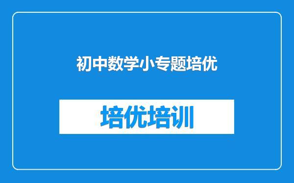 初中数学小专题培优