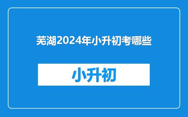 芜湖2024年小升初考哪些