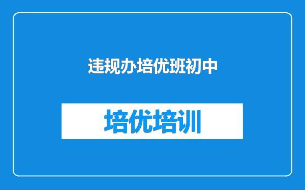 违规办培优班初中
