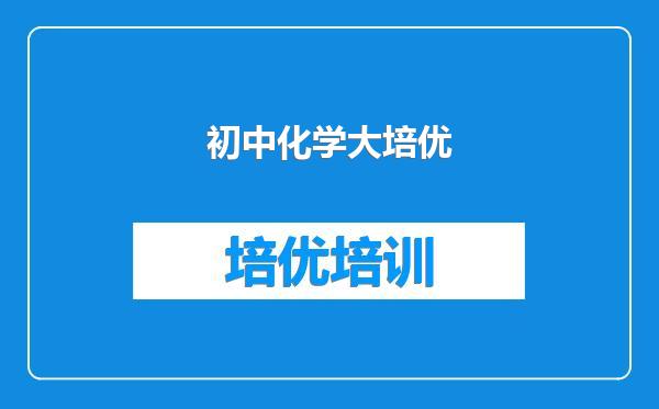 初中化学大培优