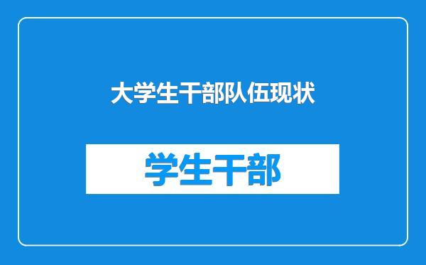 大学生干部队伍现状