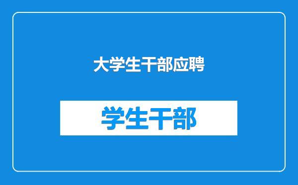 大学生干部应聘