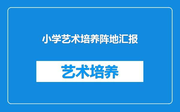 小学艺术培养阵地汇报