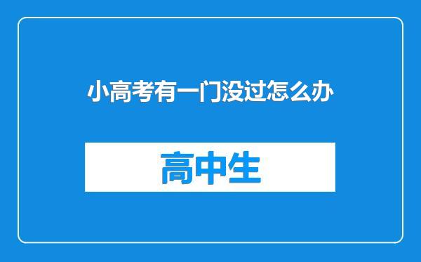 小高考有一门没过怎么办