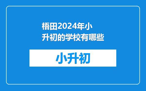 梧田2024年小升初的学校有哪些