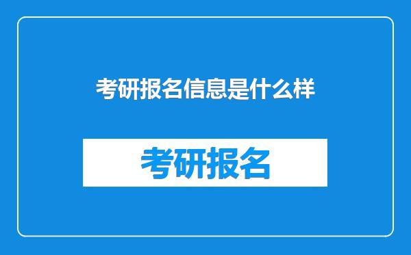 考研报名信息是什么样