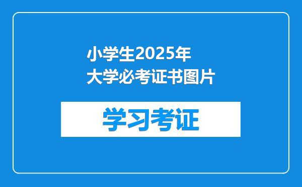 小学生2025年大学必考证书图片