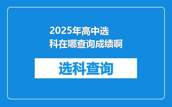 2025年高中选科在哪查询成绩啊