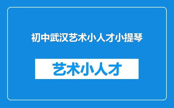 初中武汉艺术小人才小提琴