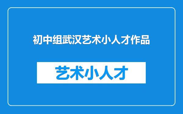 初中组武汉艺术小人才作品