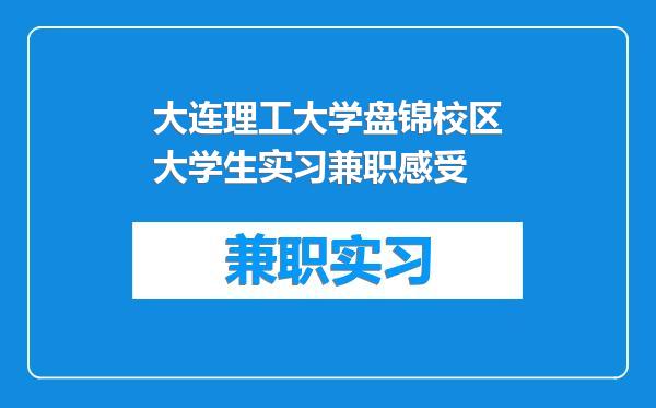 大连理工大学盘锦校区大学生实习兼职感受