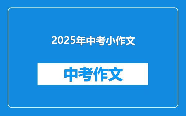 2025年中考小作文