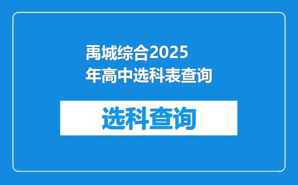 禹城综合2025年高中选科表查询