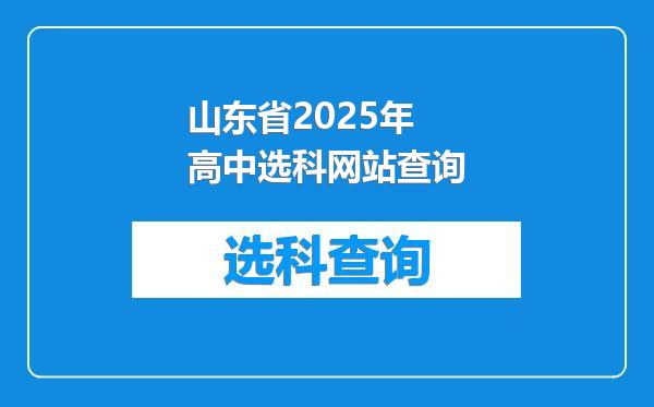 山东省2025年高中选科网站查询