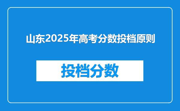 山东2025年高考分数投档原则