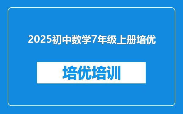 2025初中数学7年级上册培优