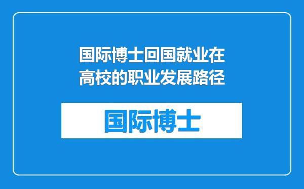 国际博士回国就业在高校的职业发展路径