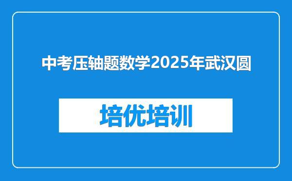 中考压轴题数学2025年武汉圆