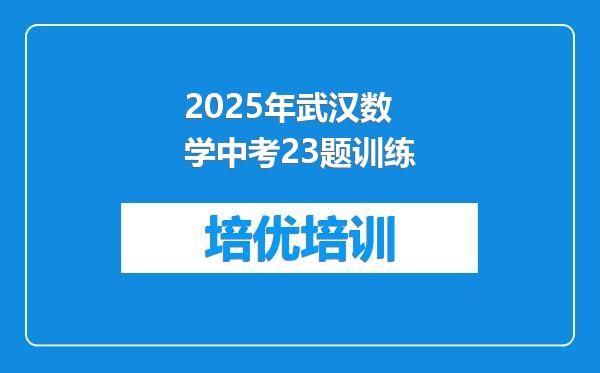 2025年武汉数学中考23题训练