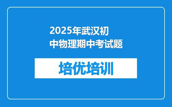 2025年武汉初中物理期中考试题